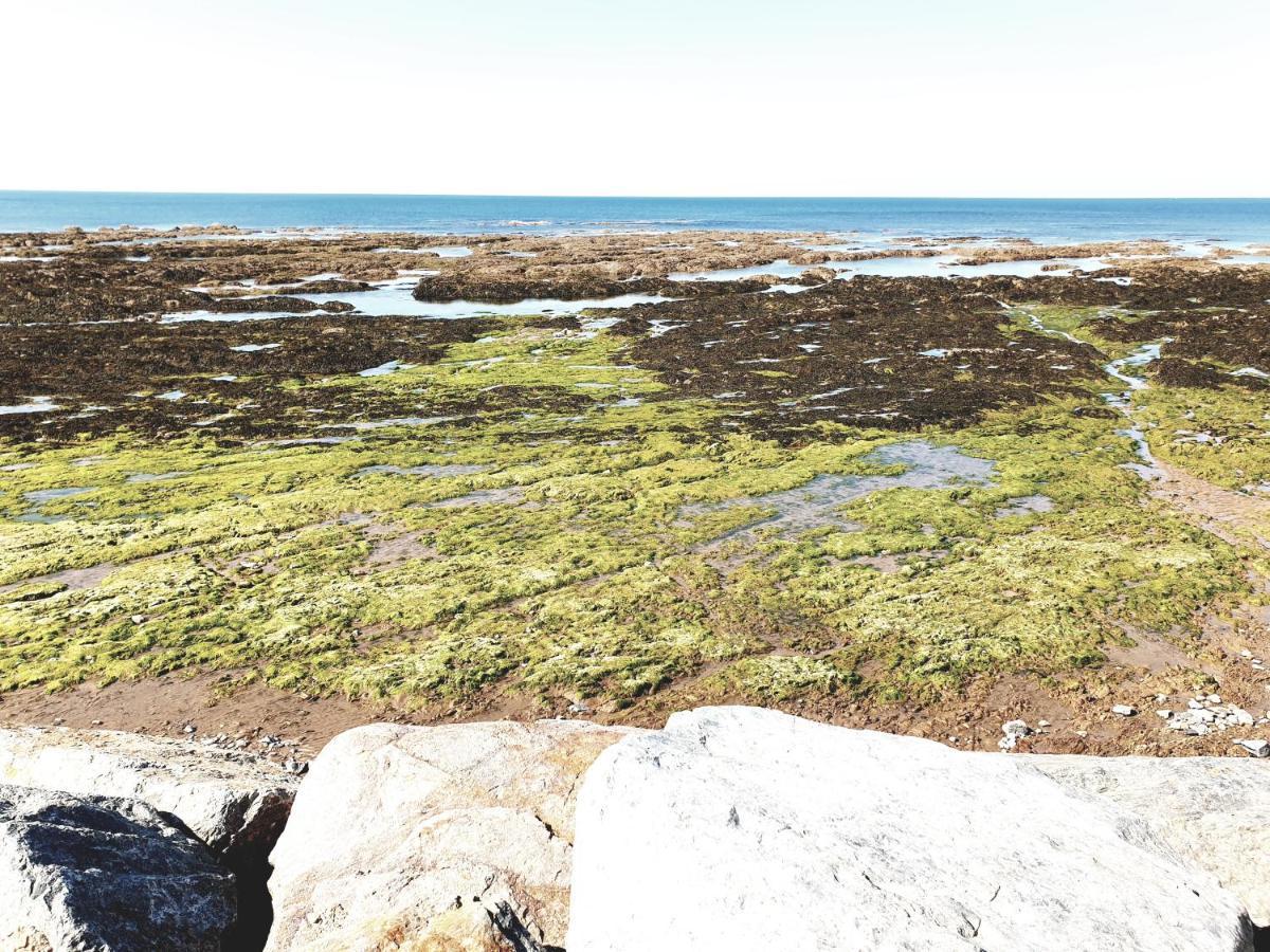 Le Temps D'Une Pause Brétignolles-sur-Mer Dış mekan fotoğraf